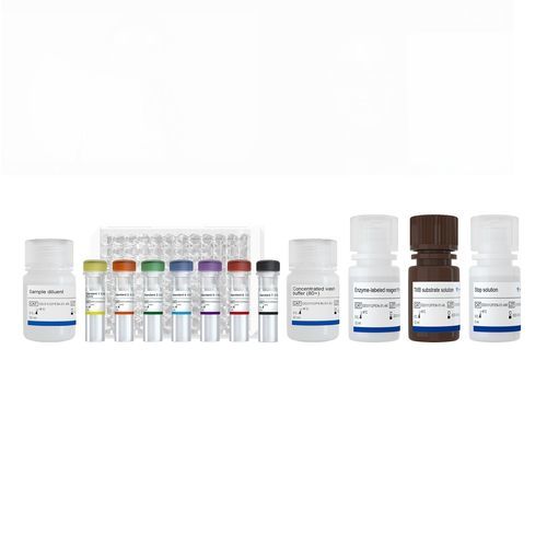医学研究快速诊断套装 - RBD - Nanjing Vazyme Medical Technology Co.,Ltd - IgG免疫球蛋白G / SARS-COV-2 / 冠状病毒