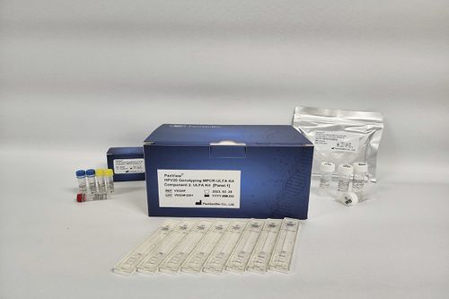 基因型快速诊断套装 - PaxView® 10/20/30 MPCR-ULFA Kit - PaxGenBio Co.,Ltd. - 宫颈癌 / 用于治疗HPV33 / HPV