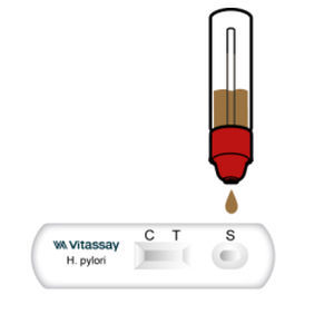 传染病快速诊断检测 - VITASSAY HEALTHCARE S.L. - 抗原 / 幽门螺旋杆菌 / 粪便