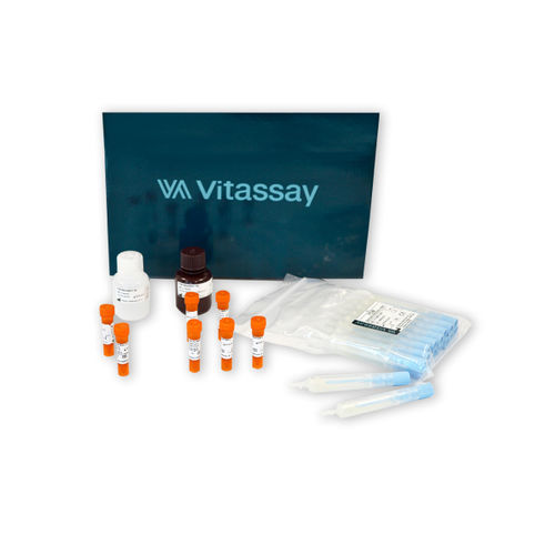 FOB快速诊断检测 - VITASSAY HEALTHCARE S.L. - 用于酒精 / 粪便 / 粪便