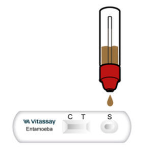 内阿米巴属快速诊断检测 - VITASSAY HEALTHCARE S.L. - 传染病 / 抗原 / 粪便