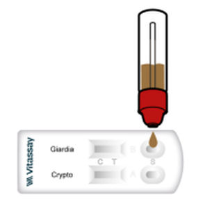 腹泻快速诊断检测 - VITASSAY HEALTHCARE S.L. - 用于贾第虫病 / 抗原 / 隐孢子虫