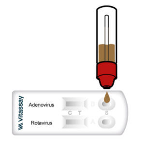 传染病快速诊断检测 - VITASSAY HEALTHCARE S.L. - 抗原 / 腺病毒 / 轮状病毒