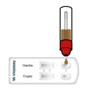 腹泻快速诊断检测 - VITASSAY HEALTHCARE S.L. - 用于贾第虫病 / 抗原 / 细菌