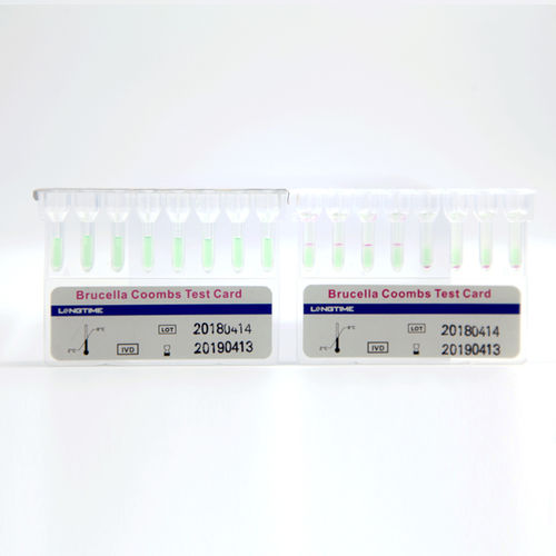 传染病快速诊断套装 - Hubei Longtime Biological Technology Co., Ltd. - 布鲁氏菌 / 血清 / 嵌入式