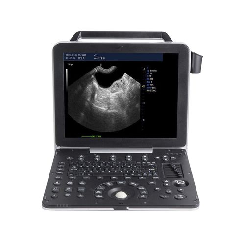 兽医超声波检查仪 / 便携式 - G8V - Beijing iTrason Technologies - 多功能 / 小动物 / 大型动物
