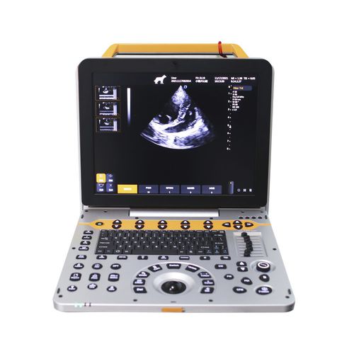 兽医超声波检查仪 / 便携式 - G60V - Beijing iTrason Technologies - 多功能 / 牛 / 犬用