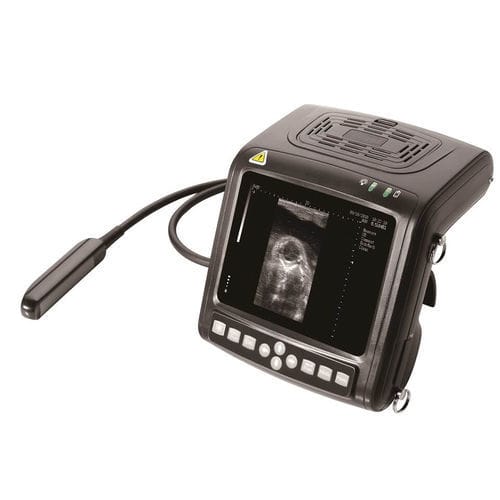 兽医超声波检查仪 / 手持式 - 5200 - Beijing iTrason Technologies - 多功能 / 猪用 / 马科动物