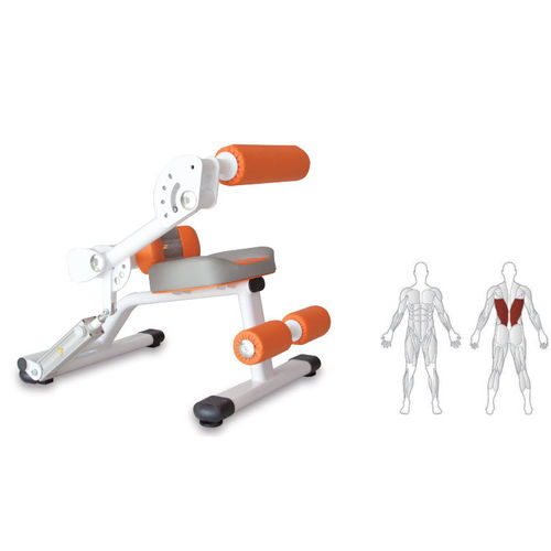 腰部哑铃凳 - KS109 - Shandong Zepu Medical Technology