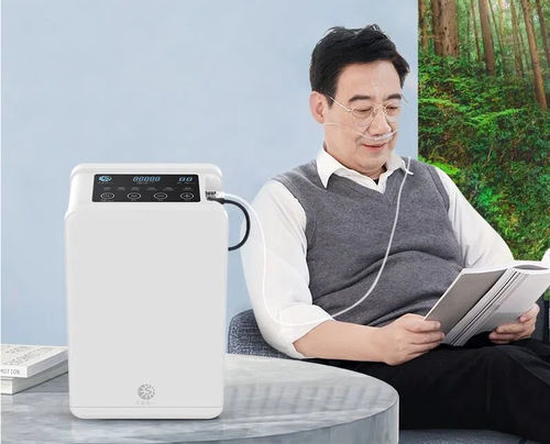 医用氧气浓缩器 - Guangzhou Sichuang Hongyi Electronic Technology Co., Ltd - 手提式 / PSA / 持续流量