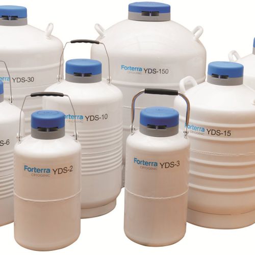 实验室储存容器 - YDS-10-80 - Qingdao Forterra Gas - 用于生物样本 / 铝制 / 液氮