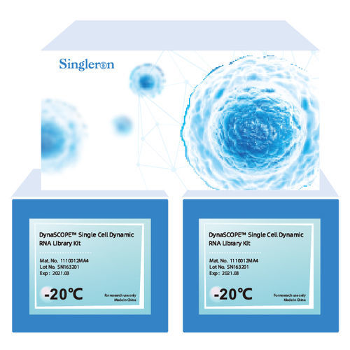 溶液试剂套装 - DynaSCOPE™ - Singleron Biotechnologies - 用于研究 / 单细胞RNA测序 / 用于RNA合成