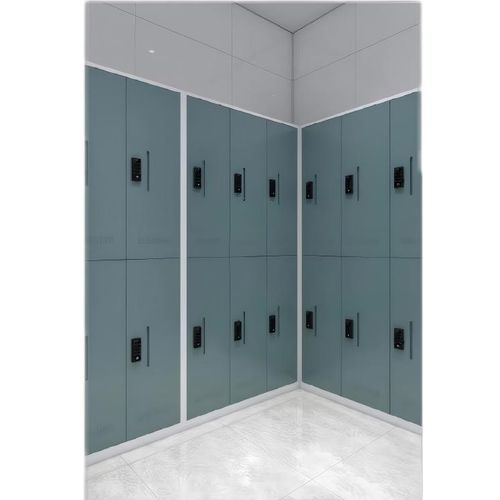 存储储物柜 - Jiangsu Fuyou Medical - 用于医院 / 带门 / 带挂衣架