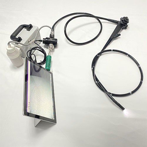 视频兽用胃镜 - GBS-9 - Jiangsu Ruitian Medical Technology - 带视频显示器