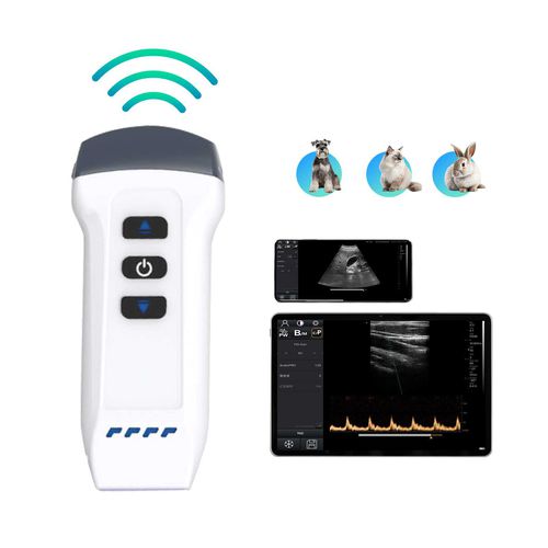 兽医超声波检查仪 / 手持式 - DW-X1 VET - Dawei Medical - 多功能 / 小动物 / 彩色多普勒