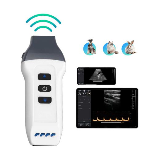 兽医超声波检查仪 / 手持式 - DW-P1 VET - Dawei Medical - 多功能 / 小动物 / 猪用