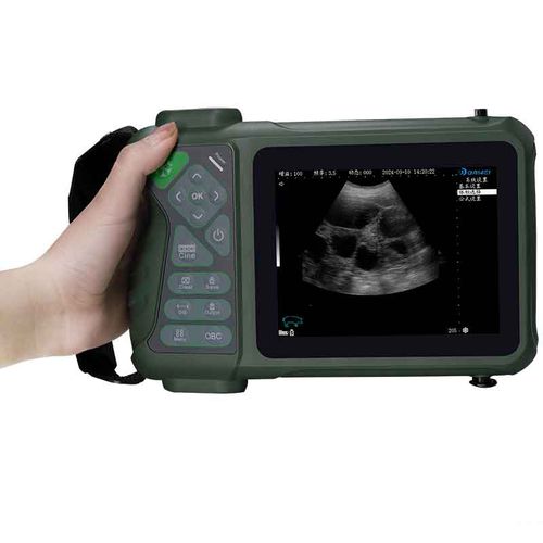 兽医超声波检查仪 / 手持式 - Elite - Dawei Medical - 多功能 / 小动物 / 大型动物