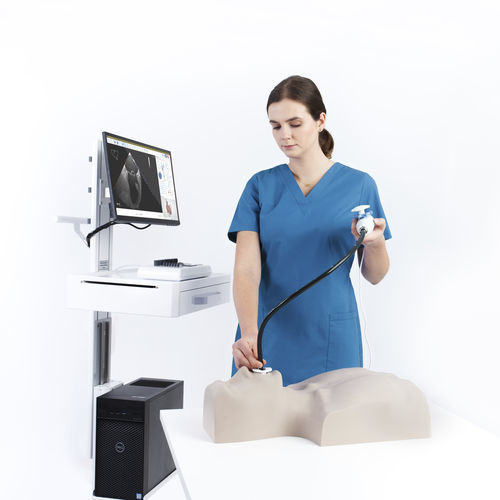 培训模拟器 - MrTEEmothy® TEE  - Medical Simulation Technologies - 超声心动图检查 / 多普勒超声成像 / 用于经食道超声心动图