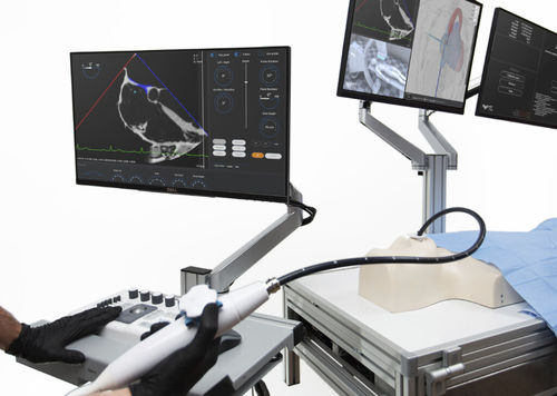 穿刺模拟器 - Trinity - Medical Simulation Technologies - 培训 / 解剖学 / 工作站