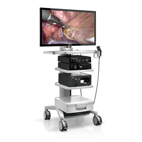 视频兽用腹腔镜 - Vetina CS7 - Shenzhen Mindray Animal Medical Technology Co., Ltd. - 用于犬类 / 带操作通道