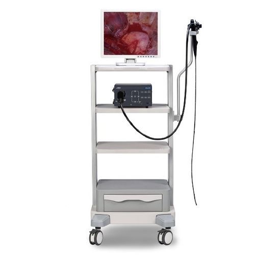 视频兽用支气管镜 - Vetina ES3 - Shenzhen Mindray Animal Medical Technology Co., Ltd. - 小动物 / 大型动物 / 带操作通道