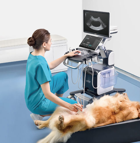 兽医超声波检查仪 / 台式 - Vetus 50 - Shenzhen Mindray Animal Medical Technology Co., Ltd. - 多功能 / 用于猫科动物 / 用于犬类