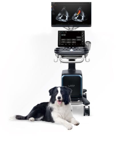 兽医超声波检查仪 / 台式 - Vetus 80 - Shenzhen Mindray Animal Medical Technology Co., Ltd. - 多功能 / 用于犬类 / 用于猫科动物