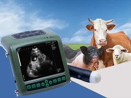 兽医超声波检查仪 / 便携式 - FTL-MSU1Plus - Fatali Medical - 多功能 / 猪用 / 牛