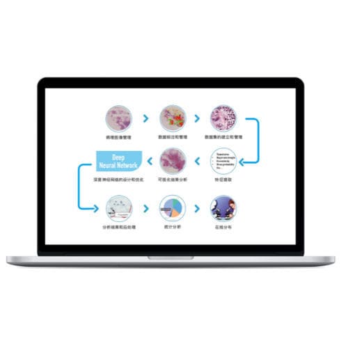 医疗管理软件 - RadCloud®  - Huiying Medical Technology (Beijing) Co., Ltd. - 可视化 / 培训 / 医用