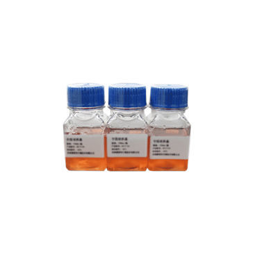 介质试剂试剂 - SN4001 - Celnovte Biotechnology Co., Ltd. - 临床 / 细胞遗传学 / 用于细胞培养