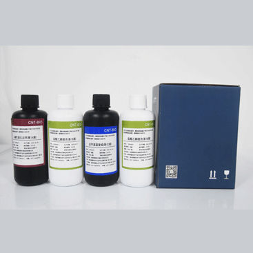 染色试剂套装 - Celnovte Biotechnology Co., Ltd. - 用于细胞培养 / 细菌