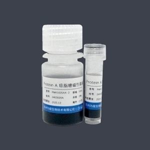 微球体试剂 - PMA1025AA - VDO Biotech - 琼脂糖凝胶 / 用于蛋白质提纯 / 蛋白质
