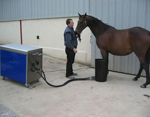 马科动物兽医水疗中心 - Mini-Spa® - Cet Equine Spa
