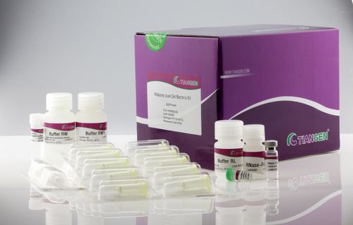 溶液试剂 - RNAprep Pure Cell/Bacteria Kit - Tiangen Biotech - RNA 提纯