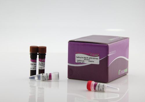 抗体试剂 - FastKing One Step RT-qPCR Kit - Tiangen Biotech - Taq-DNA聚合酶 / 逆转录酶 / 核糖核酸酶抑制剂