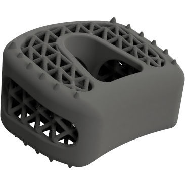 颈椎间融合器 - BMD ACIF GW ® - Global Biomedica - 前入路 / 钛