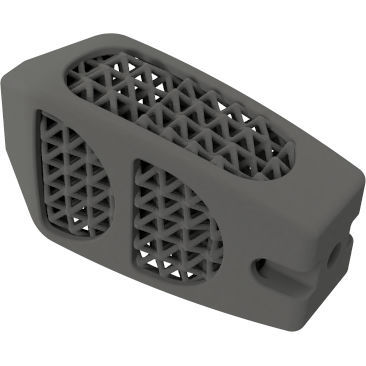 腰椎间融合器 - BMD PLIF ® - Global Biomedica - 后入路 / 钛