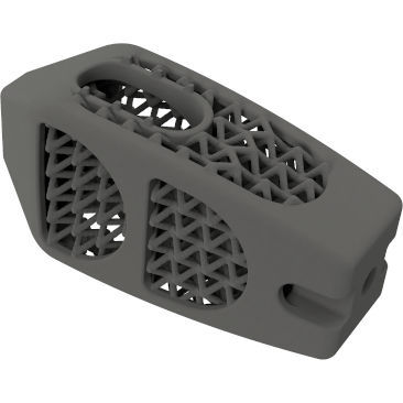 腰椎间融合器 - BMD PLIF GW ® - Global Biomedica - 后入路 / 钛