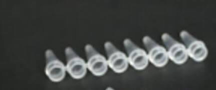 实验室试管 - YPT8-0.2-T - Mountain Scientific Inc - 用于PCR / DNA / 用于RNA