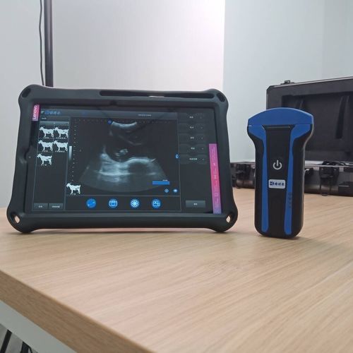 兽医超声波检查仪 / 便携式 - BXL-S101 lPX7  - Zhengzhou Boxianglai Electronic Sci-tech Co.,Ltd - 多功能 / 羊用