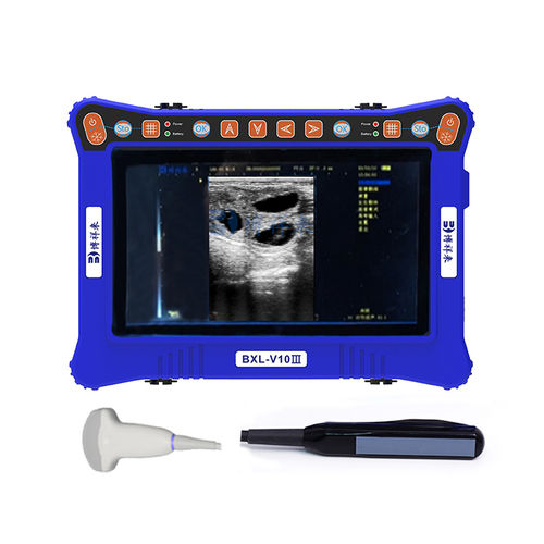 兽医超声波检查仪 / 便携式 - BXL-V10 Ⅲ  - Zhengzhou Boxianglai Electronic Sci-tech Co.,Ltd - 多功能 / 猪用 / 马科动物