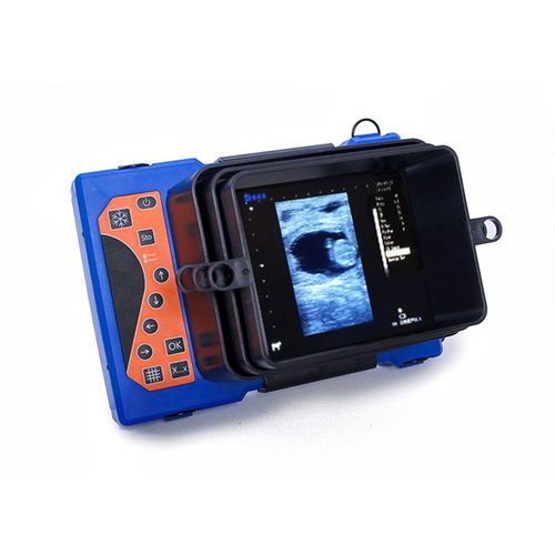 兽医超声波检查仪 / 便携式 - BXL-V50 - Zhengzhou Boxianglai Electronic Sci-tech Co.,Ltd - 多功能 / 牛 / 羊用