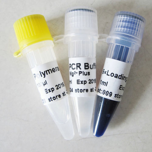 缓冲溶液试剂 - P1011 500U  - Guangzhou Dongsheng Biotech Co., Ltd. - 酶 / DNA聚合酶 / Taq-DNA聚合酶