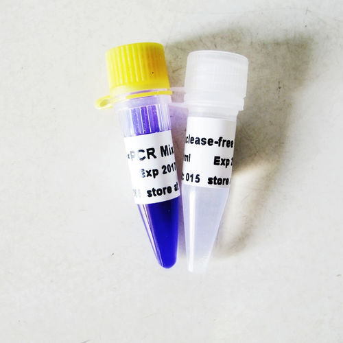 溶液试剂 - P2011 - Guangzhou Dongsheng Biotech Co., Ltd. - 缓冲溶液 / DNA聚合酶 / Taq-DNA聚合酶
