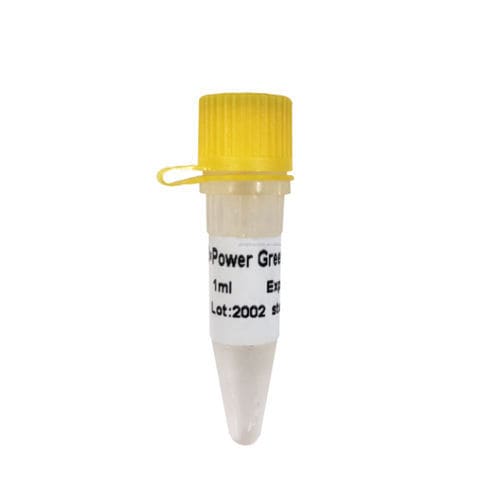 Taq-DNA聚合酶试剂套装 - P2101 - Guangzhou Dongsheng Biotech Co., Ltd. - PCR