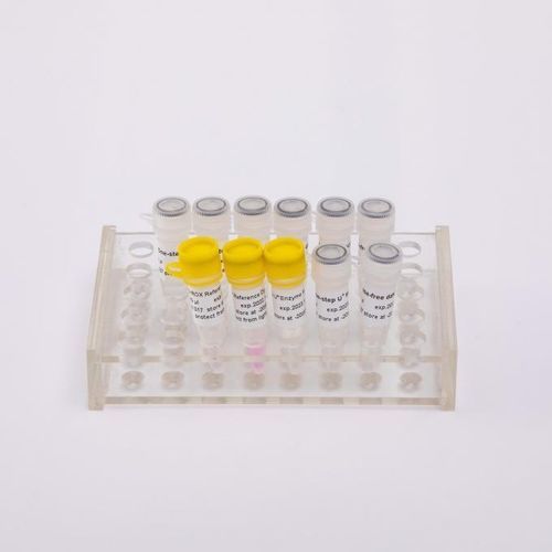 Taq-DNA聚合酶试剂套装 - V5002 - Guangzhou Dongsheng Biotech Co., Ltd. - 逆转录酶 / RT-qPCR