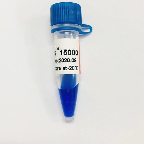 琼脂糖凝胶试剂 - LD DS - Guangzhou Dongsheng Biotech Co., Ltd. - 染色 / 核酸 / 电泳