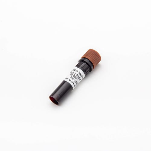 染色试剂 - DSView™ - Guangzhou Dongsheng Biotech Co., Ltd. - 核酸