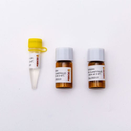 酶试剂 - DSPath™ - Guangzhou Dongsheng Biotech Co., Ltd. - Taq-DNA聚合酶 / 逆转录酶 / 核糖核酸酶抑制剂