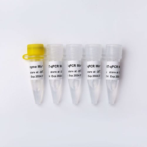 DNA聚合酶试剂套装 - V2 - Guangzhou Dongsheng Biotech Co., Ltd. - 逆转录酶 / RT-qPCR